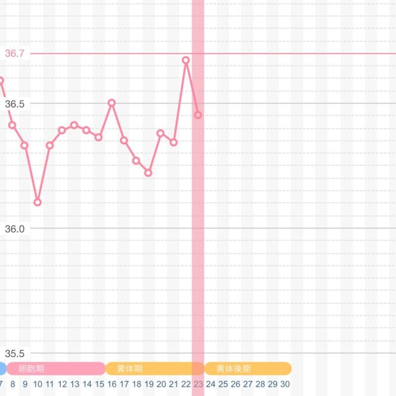 基礎体温グラフ