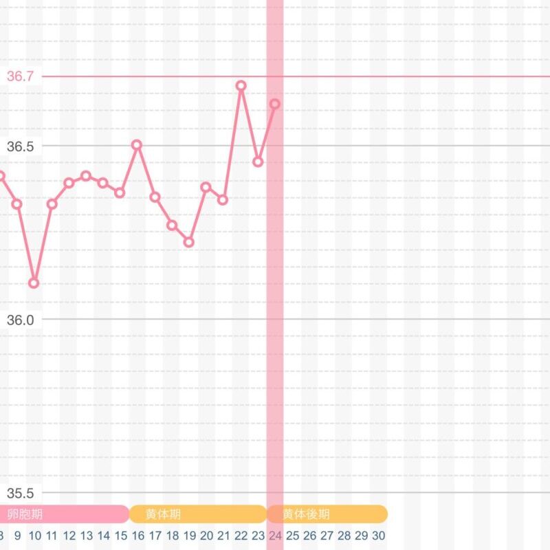 基礎体温グラフ