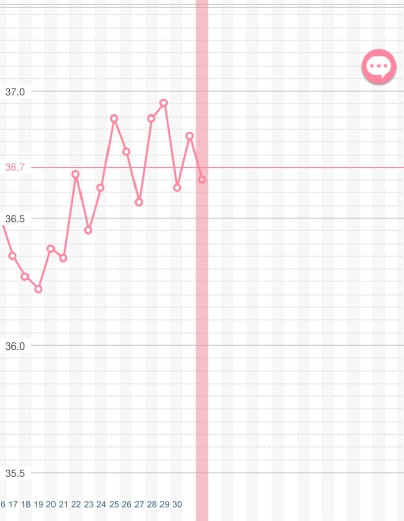基礎体温グラフ