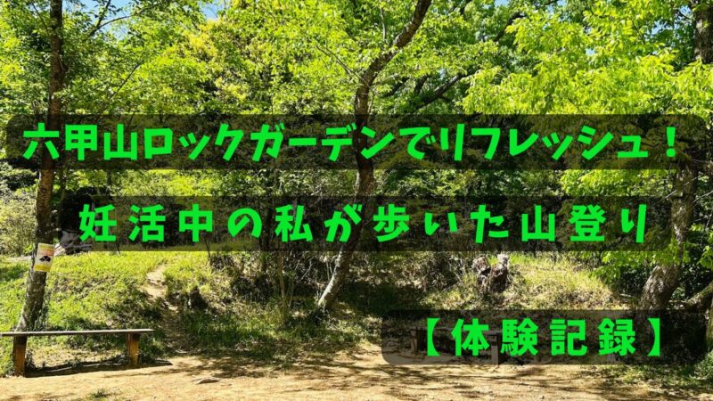 森