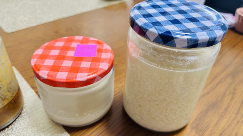 手作りの塩こうじ