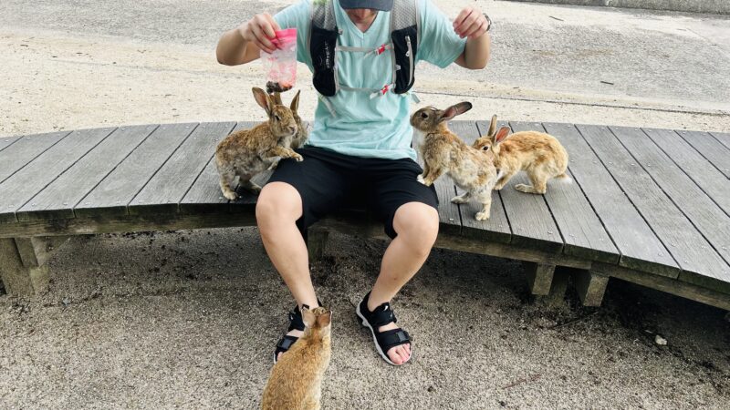 大量のうさぎに群がられている夫