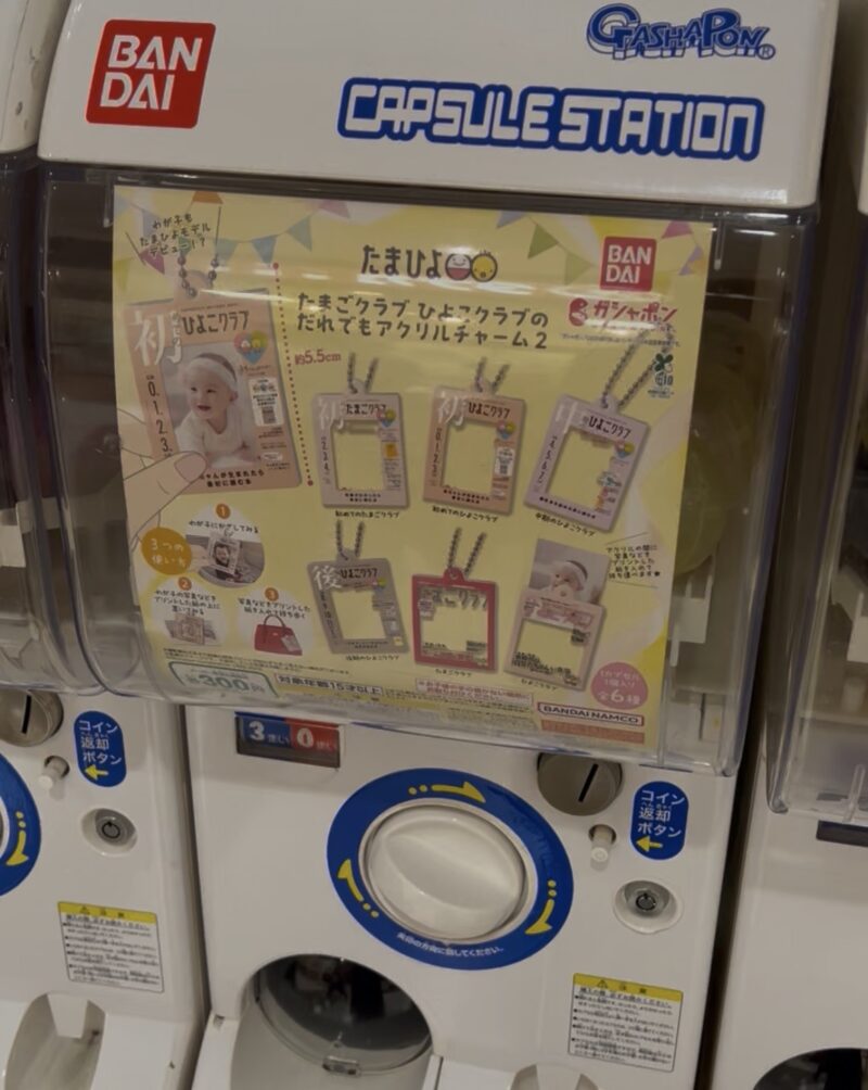 出かけた先で見つけたたまひよのガチャ