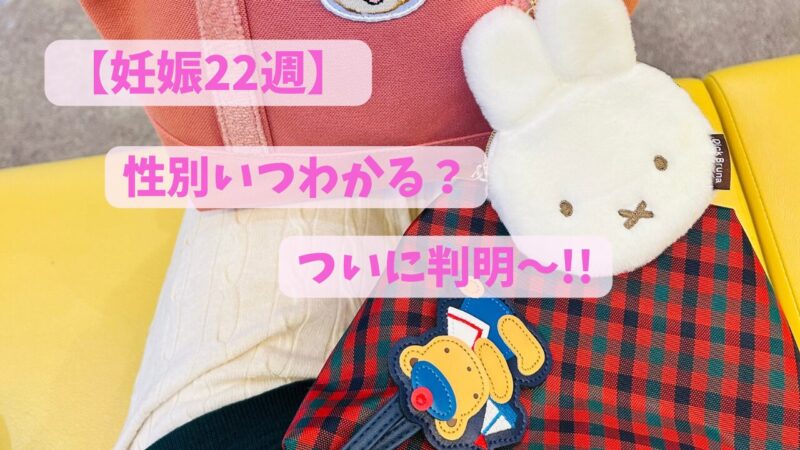 妊婦検診の日に、待合室に座っている私の持ち物の写真