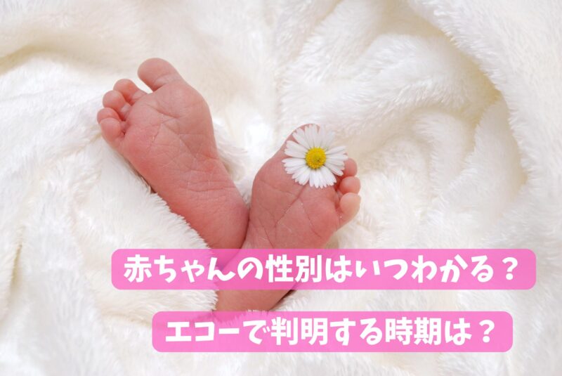 タオルにくるまれた生まれたての赤ちゃんの足