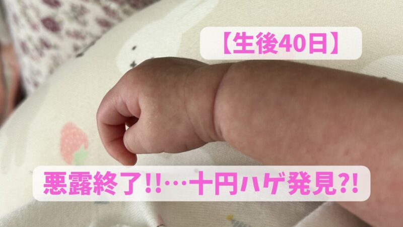 むちむち