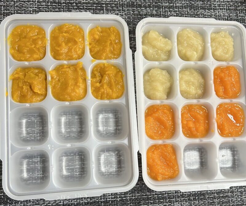 西松屋のフリージングトレー