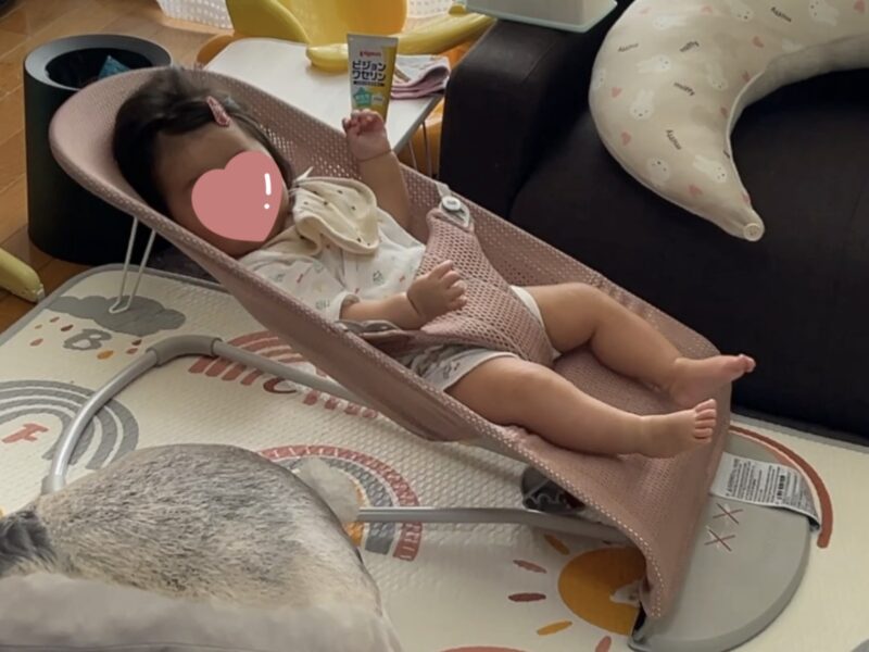 バウンサーに乗るはぴまるちゃん